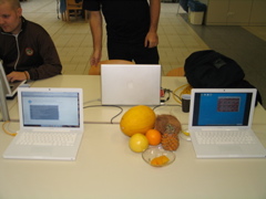 IMG_9110.JPG